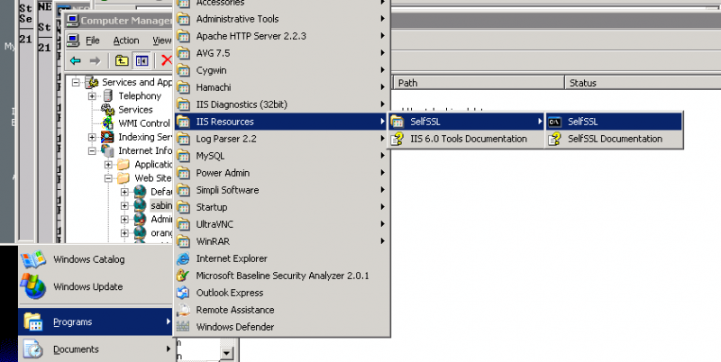 File:SelfSSL.png
